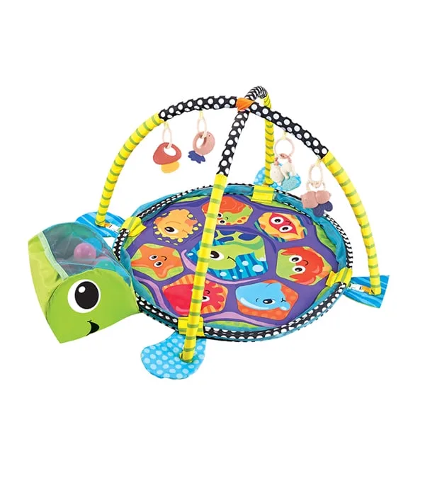 Gimnasio Y Piscina de Pelotas Multicolor